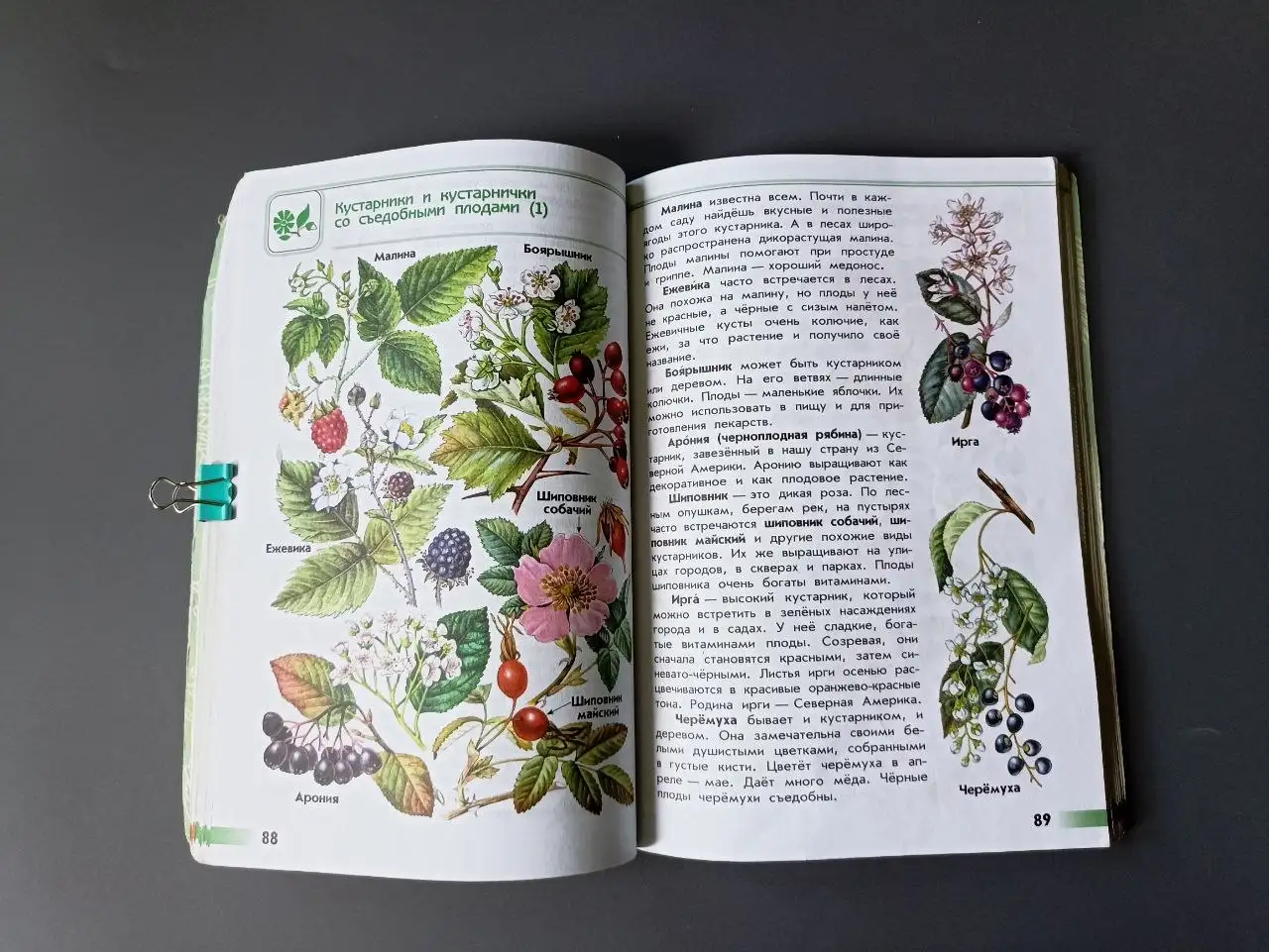 Атлас-определитель Плешакова От земли до неба, 2019 - Книги (Хобби и отдых) в Москва