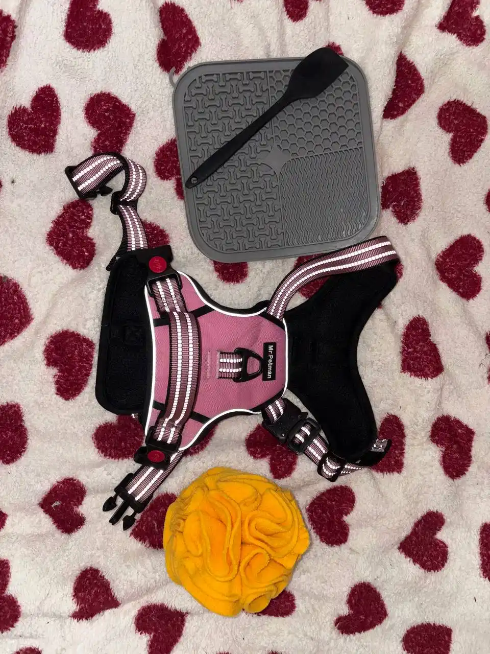 Товары для собак - Животные в Москва