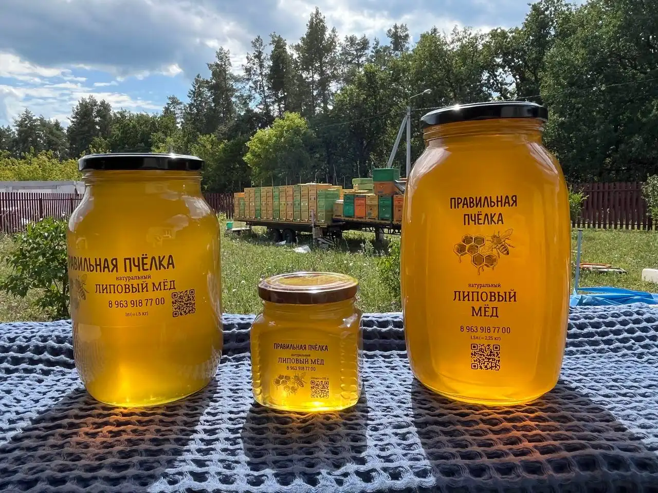 Натуральный мед с собственной пасеки