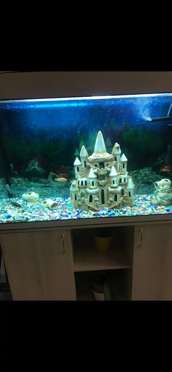 Объявление от Саши