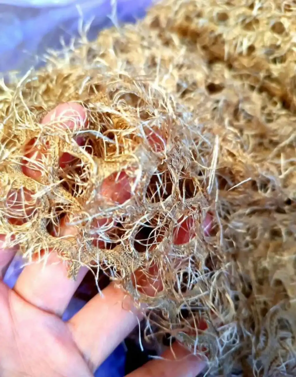 Отрезы ткани коричнево-бежевого цвета для творчества