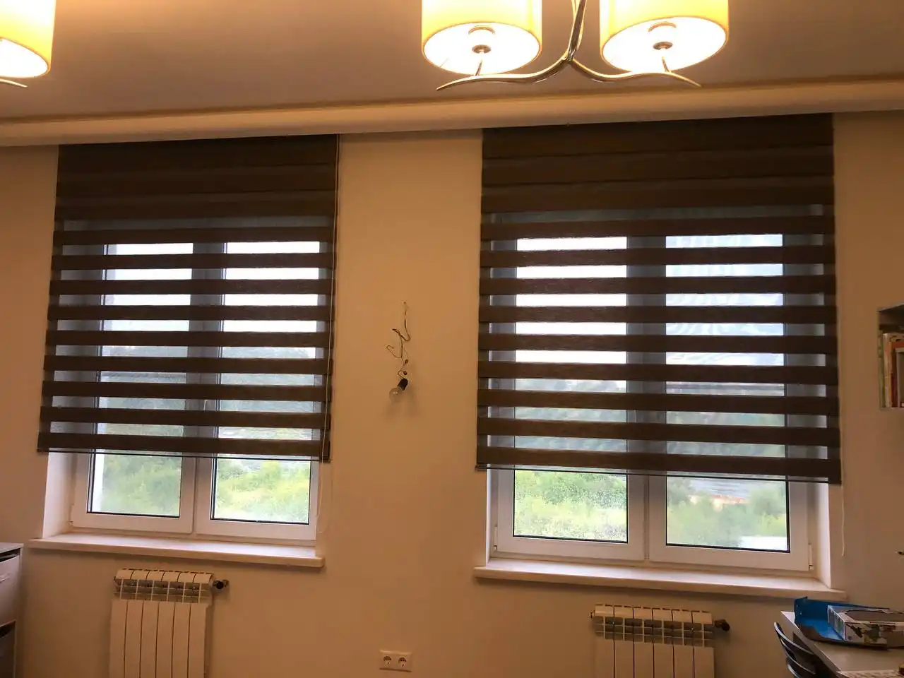 Рулонные шторы и зебра люкс - Шторы и жалюзи (Для дома и дачи) в Москва