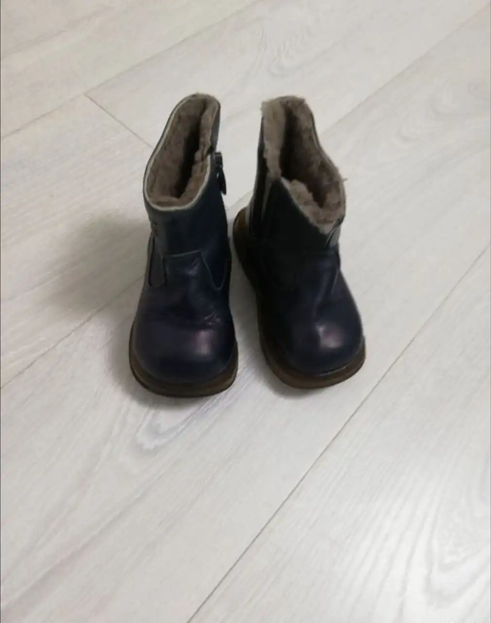 Зимние сапожки из натуральной кожи с мехом - Обувь (Одежда) в Москва