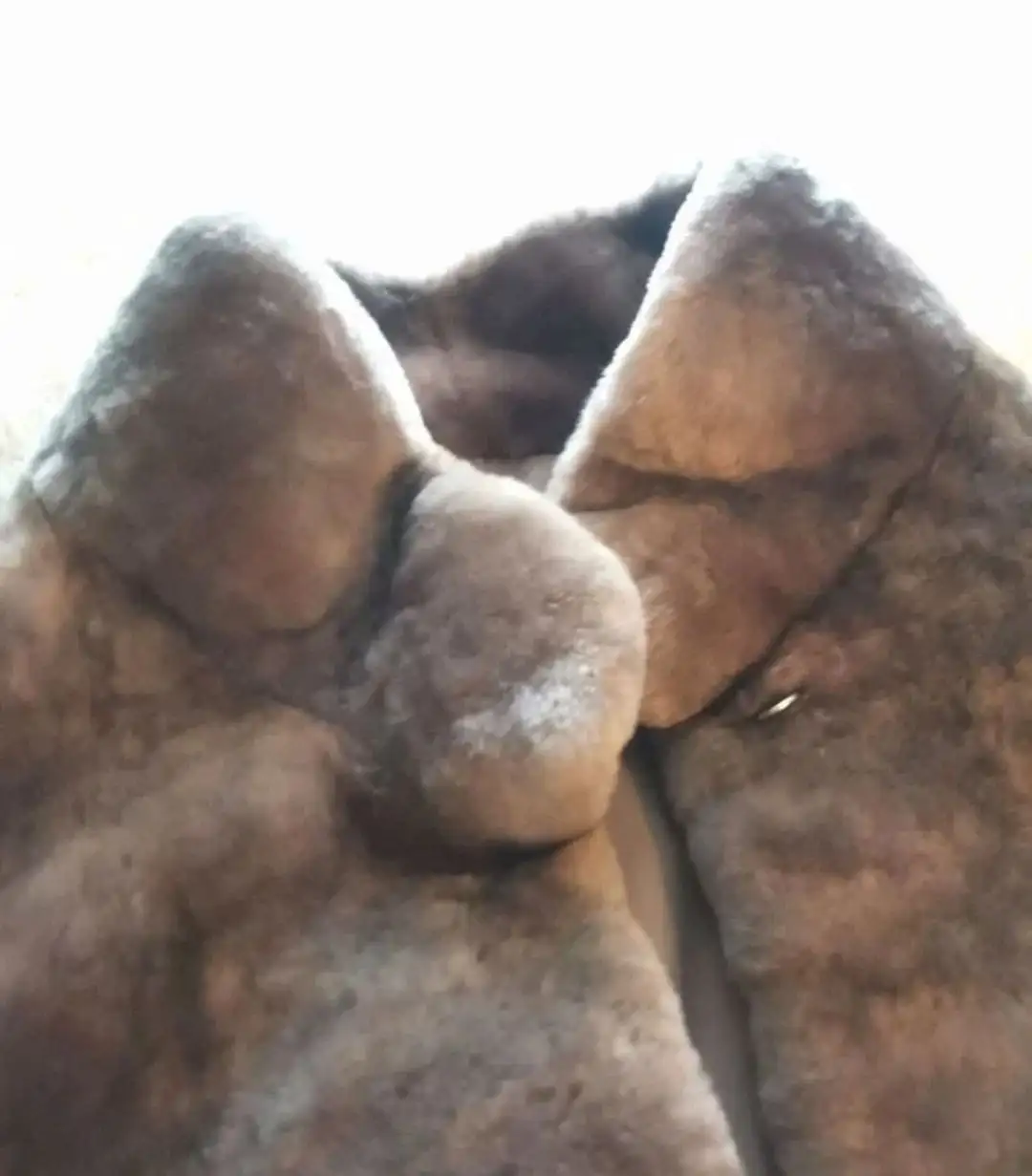 Шуба Andrea Mossi из натурального мутона, размер 44 - Верхняя одежда (Одежда) в Нахабино