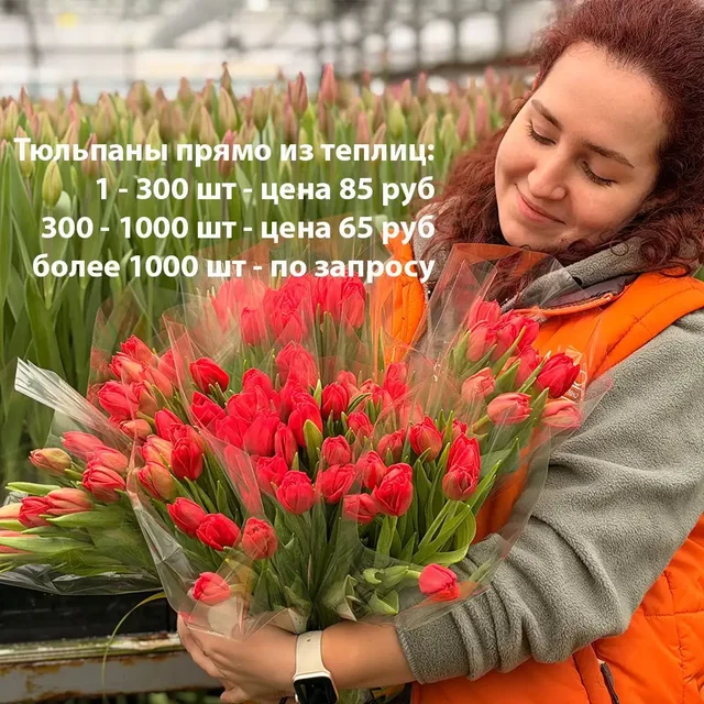 Цветы к 8 марта из Питомника Вашутино - частное объявление в Химки