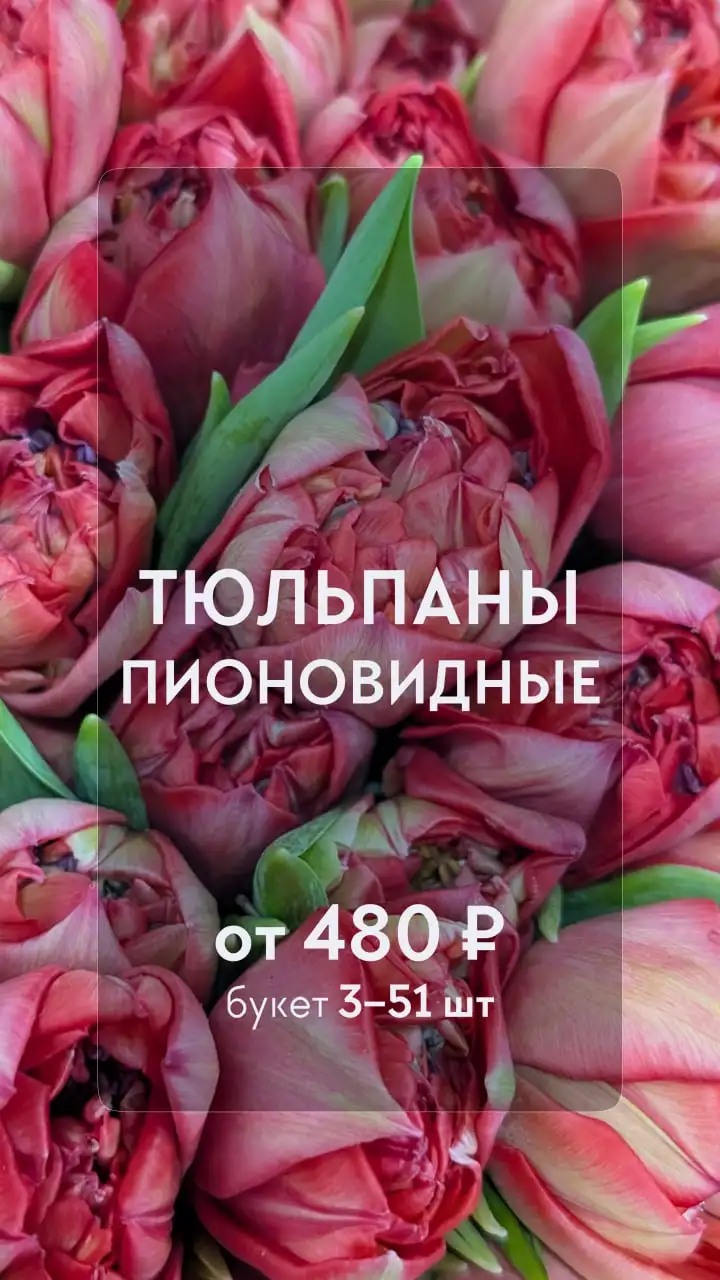Тюльпаны классические и пионовидные с доставкой в Москве - Доставка цветов (Услуги) в Москва