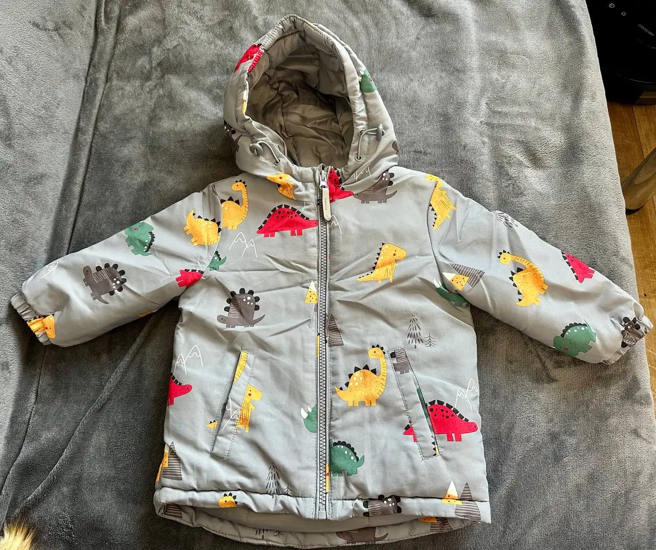 Куртки и жилеты детские весна/осень - Детская одежда (Одежда) в Москва