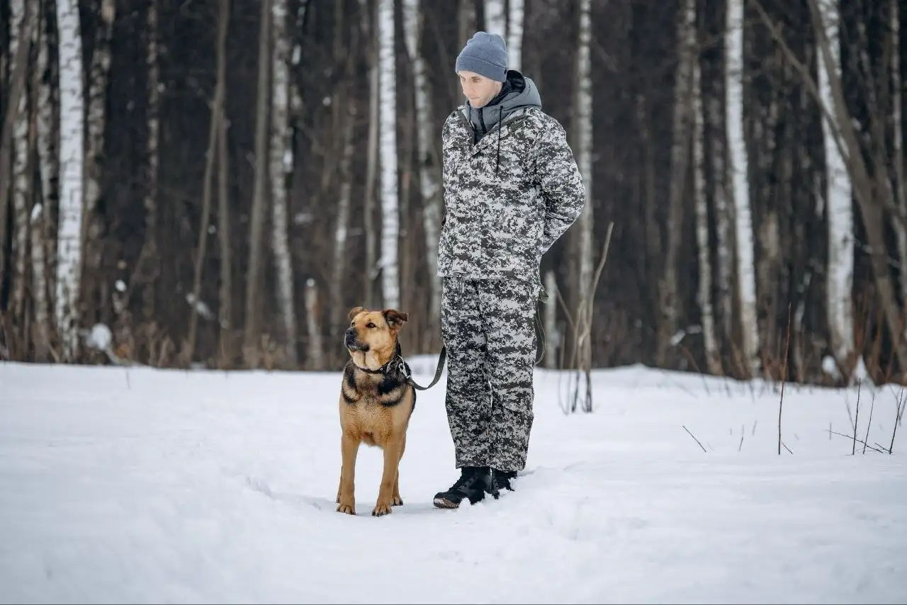 Душевная плюшевая собака Дуся ищет дом - Собаки (Животные) в Москва