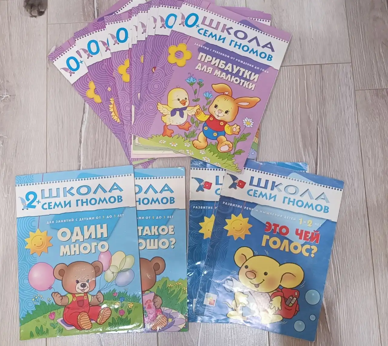 Школа семи гномов 0+ 11 книг с бонусными книгами - Книги и развивающие материалы (Товары для детей) в Москва