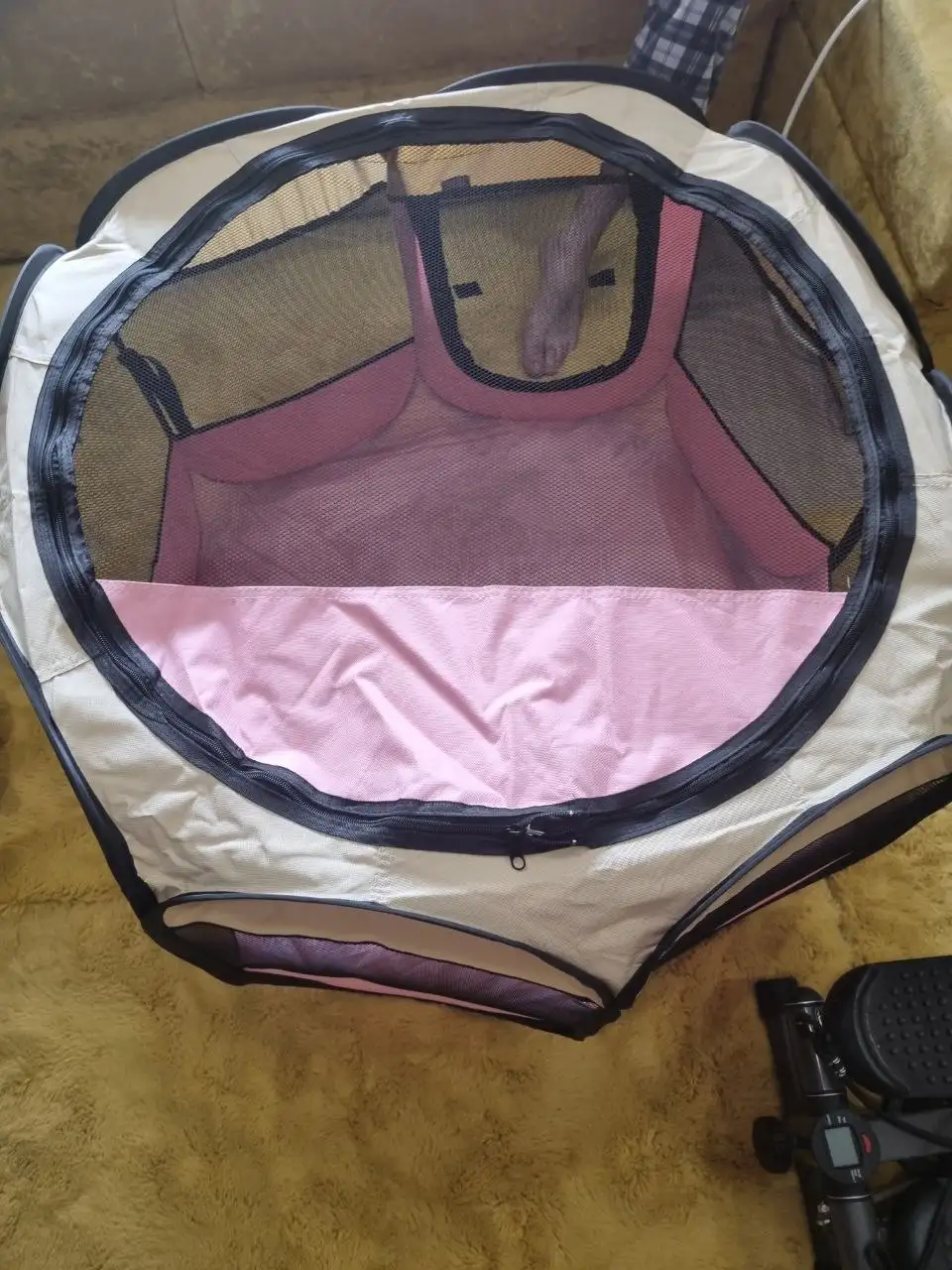 Вольер манеж 1500 - Животные в Москва