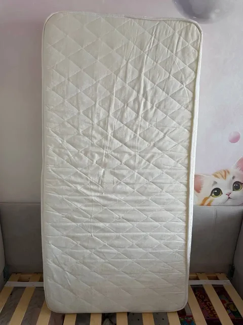 Анатомический матрас 160x80 см - Клининговая техника в Москва