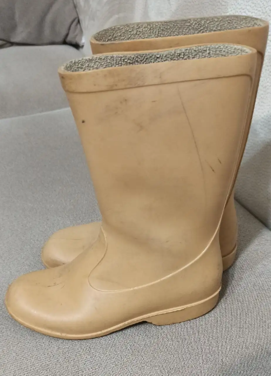 Детские резиновые сапоги р.31 - Обувь (Товары для детей) в Москва