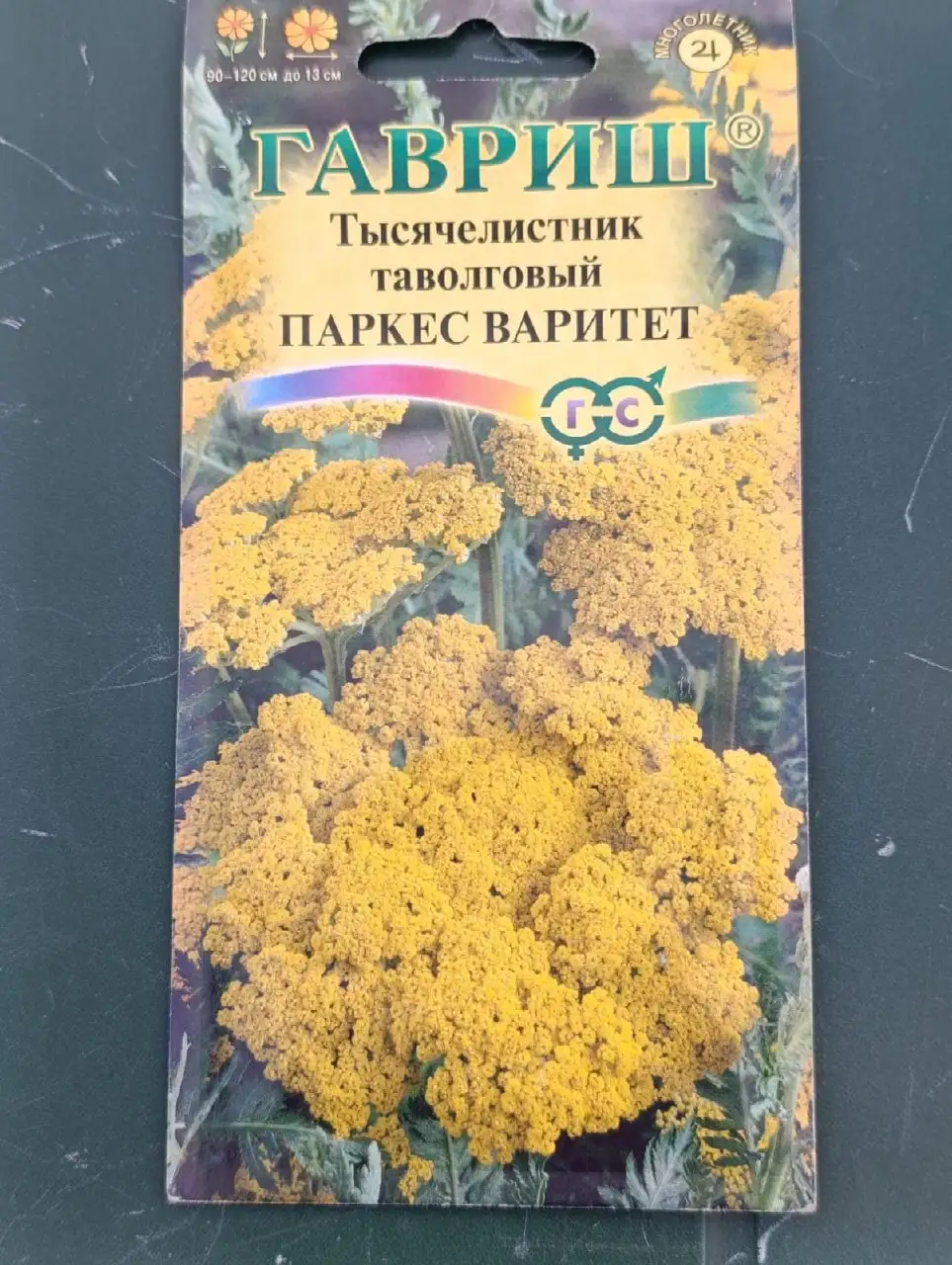 Саженцы рудбекии, тысячелистника, буквицы - Саженцы (Растения) в Москва и Область