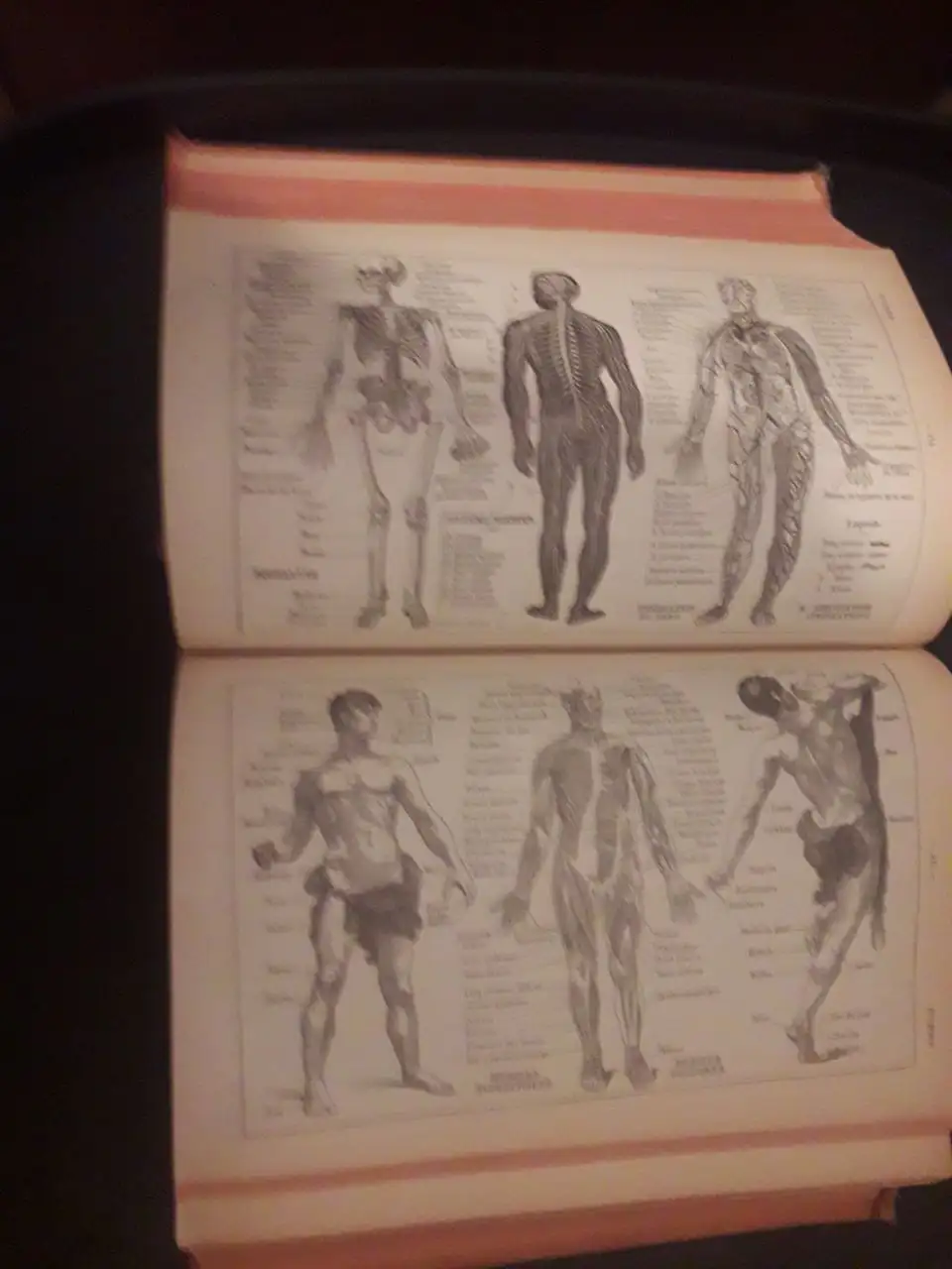 Petit Larousse Illustre 1918 - Книги (Барахолка) в Москва