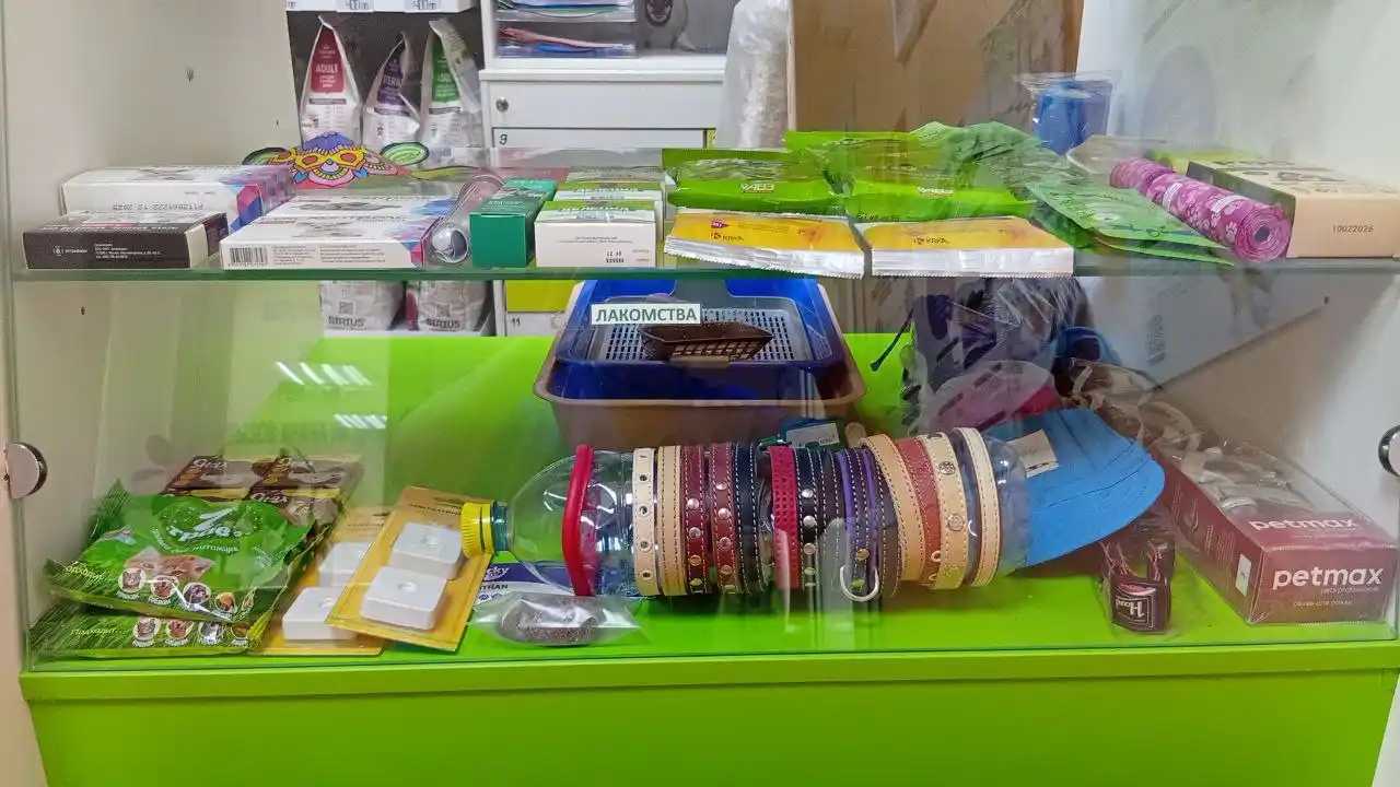 Распродажа одежды и обуви, ошейников для питомцев