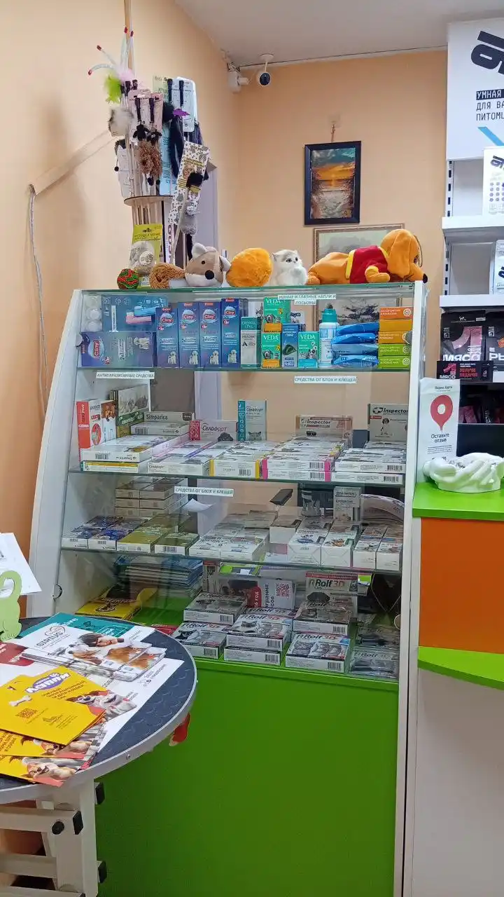 Распродажа одежды и обуви, ошейников для питомцев