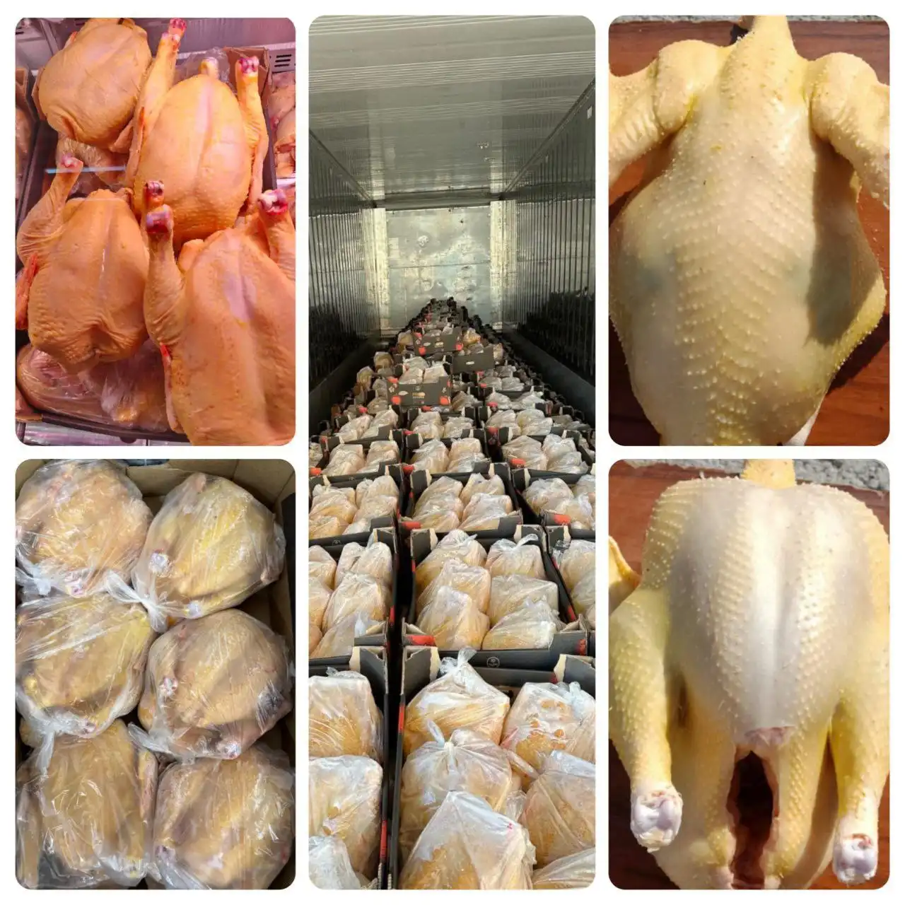 Натуральное питание – залог здоровья вашей семьи