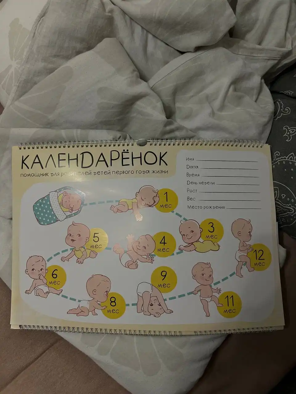 Отдам за шоколадку