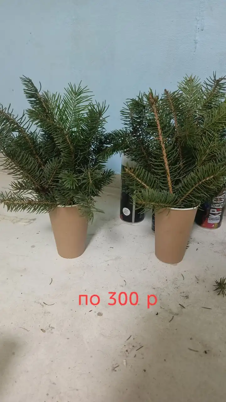 Букеты из пихты и ели