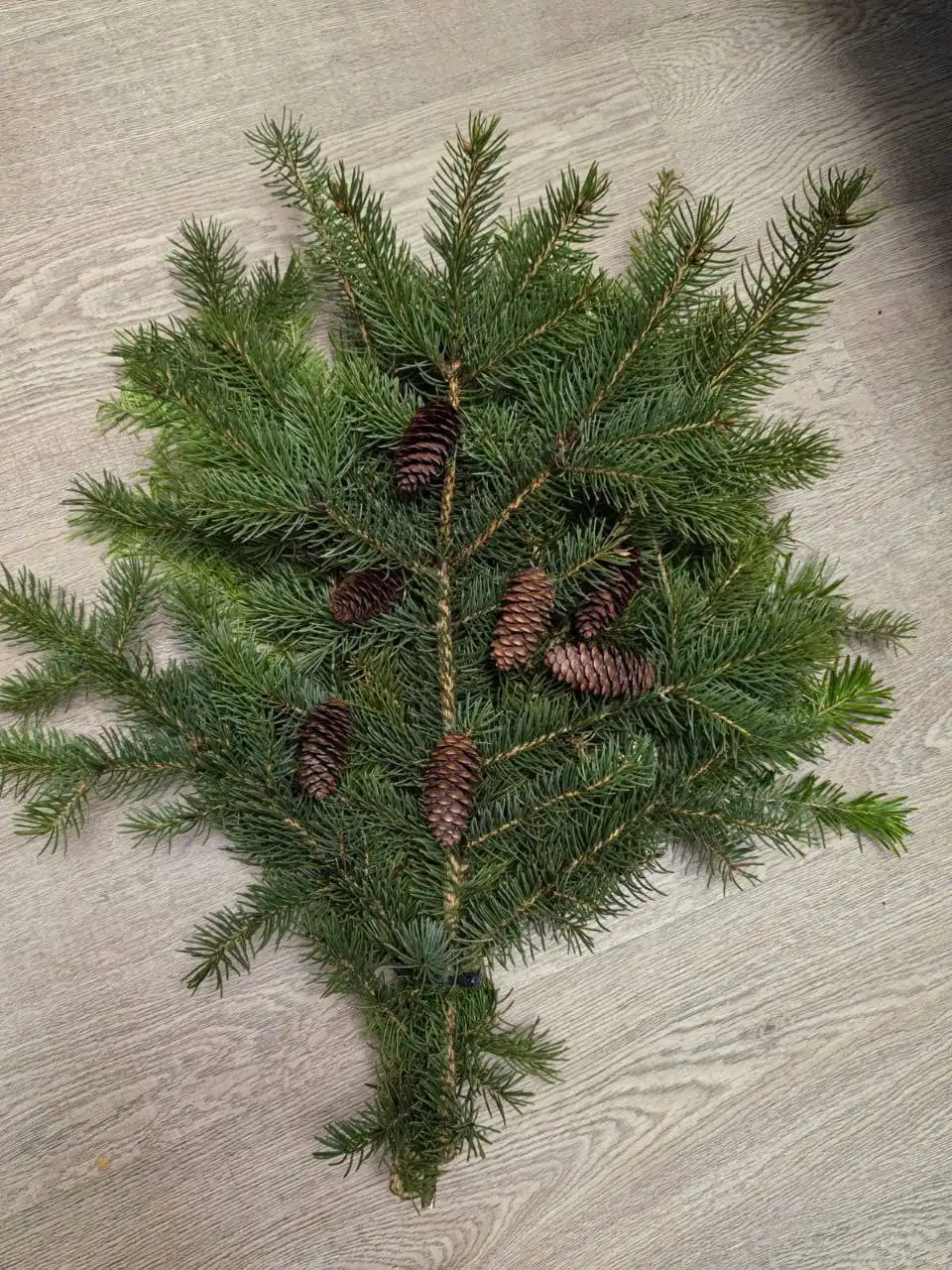 Новогодние букеты из ели и пихты