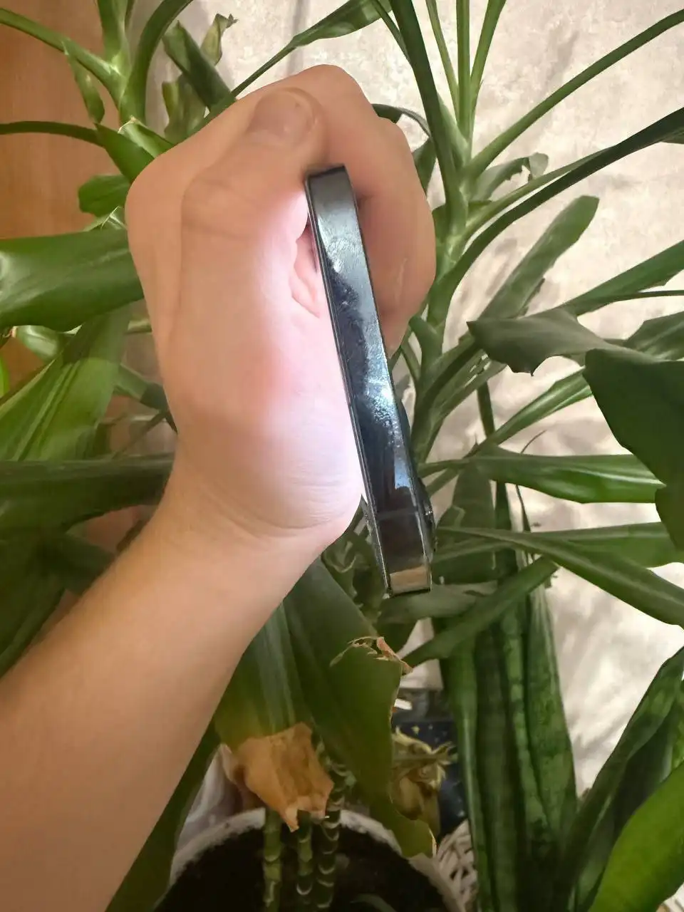 iPhone 12 Pro Max 256гб в отличном состоянии - Смартфоны (Электроника) в Рыбинск