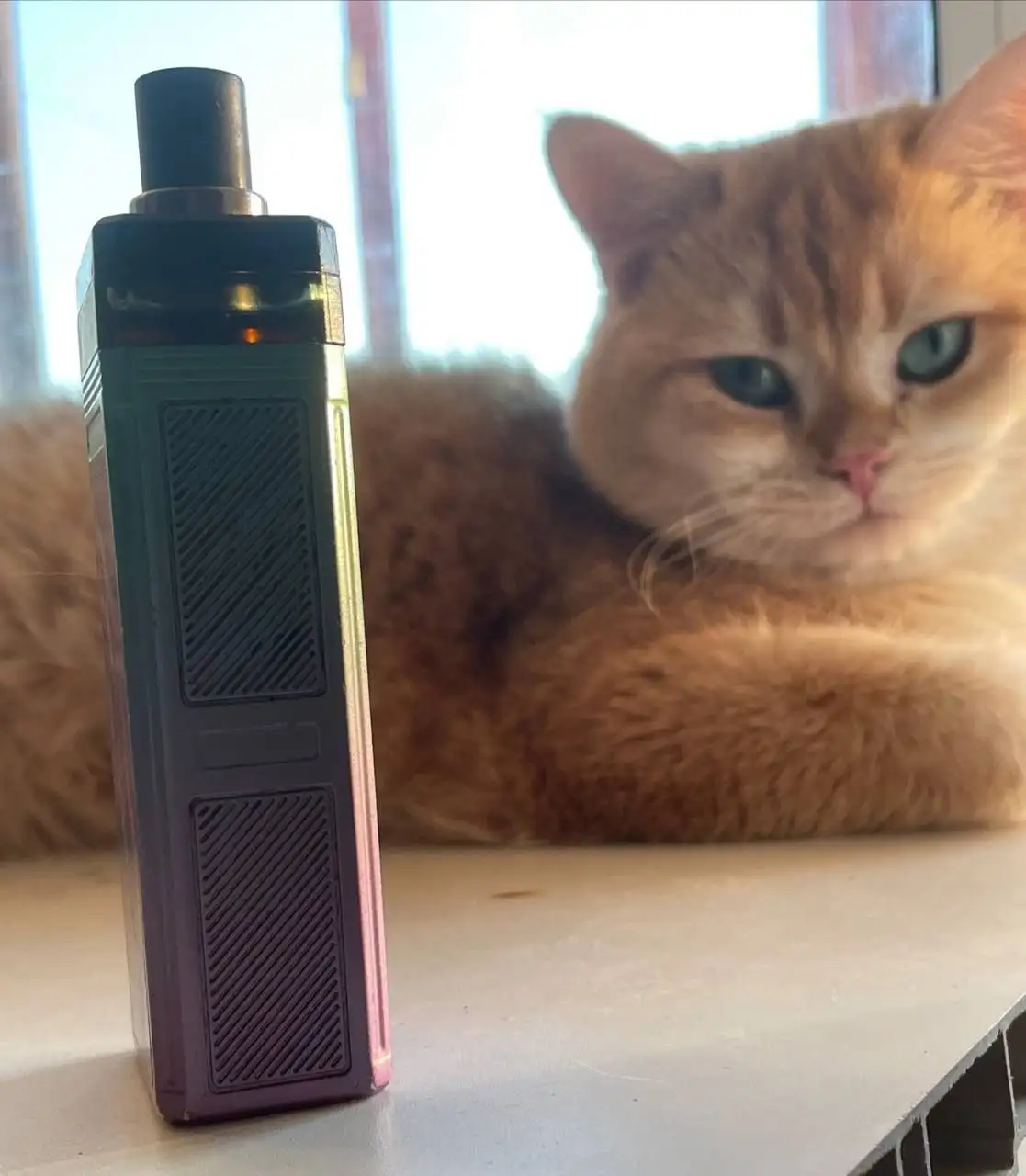 Обмен Pasito 2 - Электроника в Рыбинск