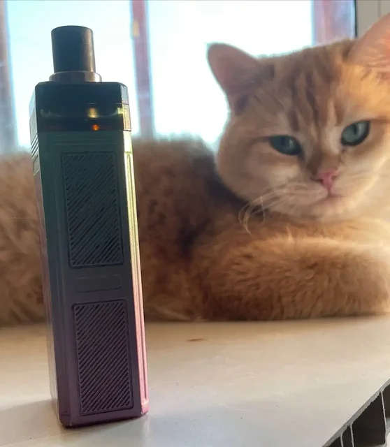 Обмен Pasito 2 - Аккаунты в Рыбинск