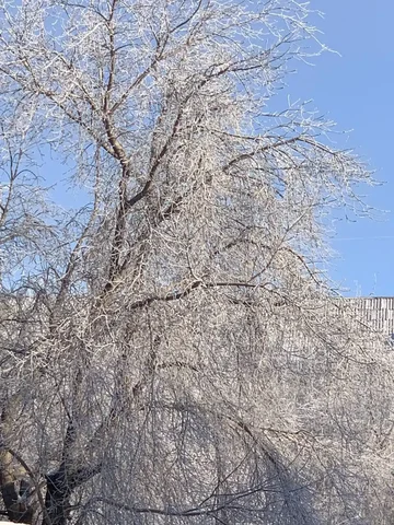 Скупка подов и хлама - Разное в Магнитогорск