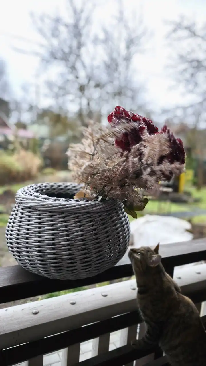 Плетение кашпо из полиротанга для растений