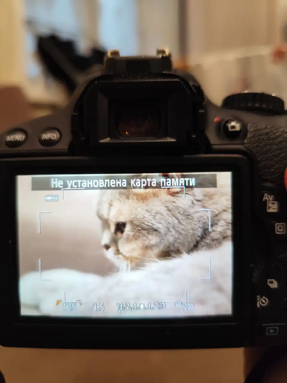 Продается зеркальный фотоаппарат Canon 650D с объективами