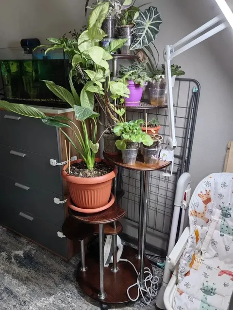 Напольная подставка для растений с полками и колесиками - Для дома и дачи в Балашиха