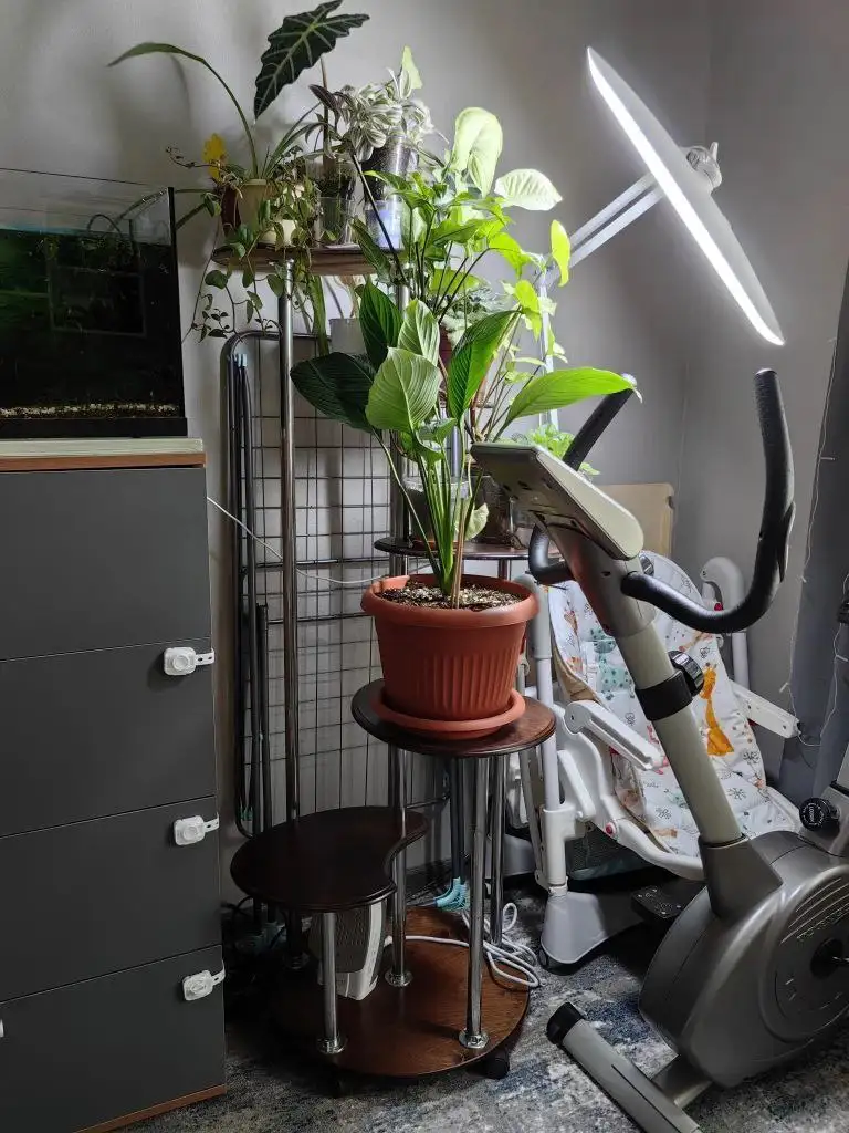 Напольная подставка для растений с полками и колесиками - Мебель (Для дома и дачи) в Балашиха