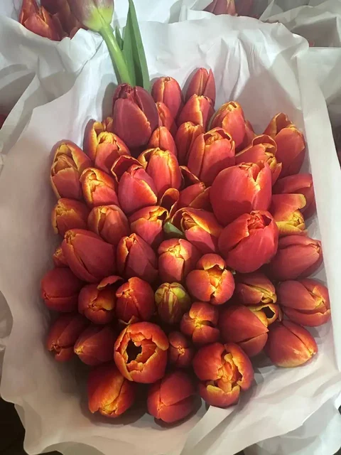 Тюльпаны к 8 Марта с брендированием и доставкой - Хобби и отдых в Балашиха