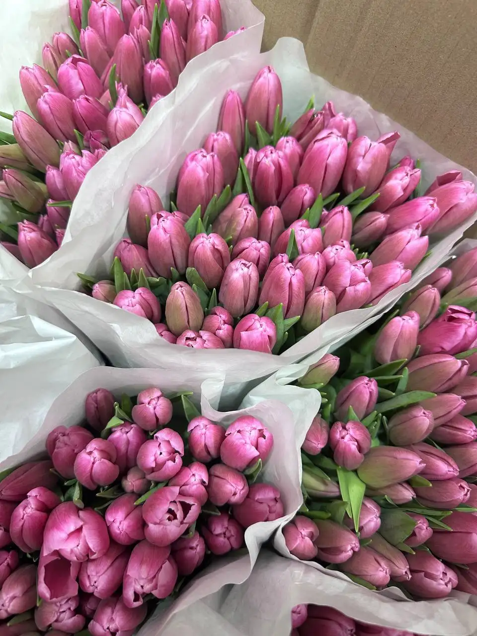 Тюльпаны к 8 Марта с брендированием и доставкой - Цветы (Хобби и отдых) в Балашиха