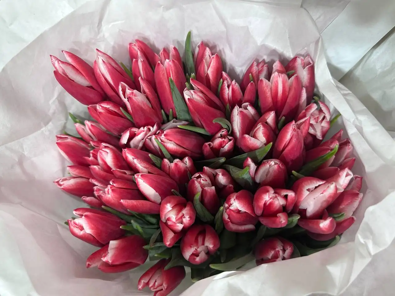 Тюльпаны к 8 Марта с брендированием и доставкой - Цветы (Хобби и отдых) в Балашиха