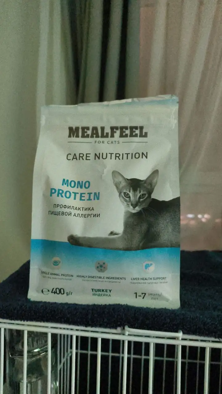 Отдам за шоколадку или обменяю на миску - Барахолка в Балашиха