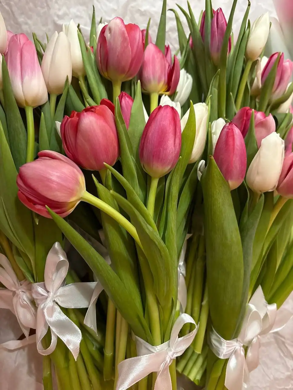 Продажа тюльпанов букетами - Цветы (Барахолка) в Балашиха