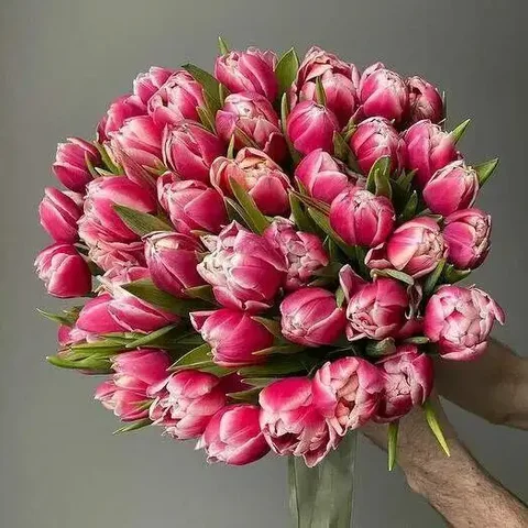 Тюльпаны премиум класса к 8 марта с доставкой - Билеты на мероприятия в Балашиха