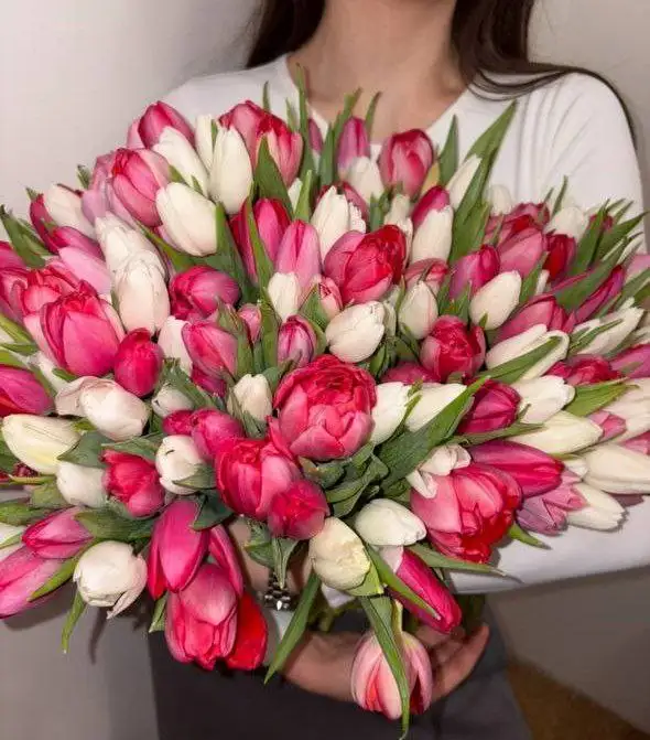 Свежие тюльпаны к 8 марта - Цветы (Барахолка) в Балашиха