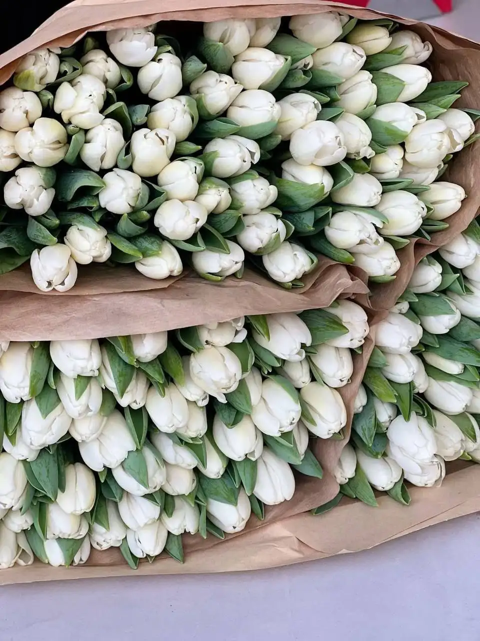 Свежие тюльпаны к 8 марта - Цветы (Барахолка) в Балашиха