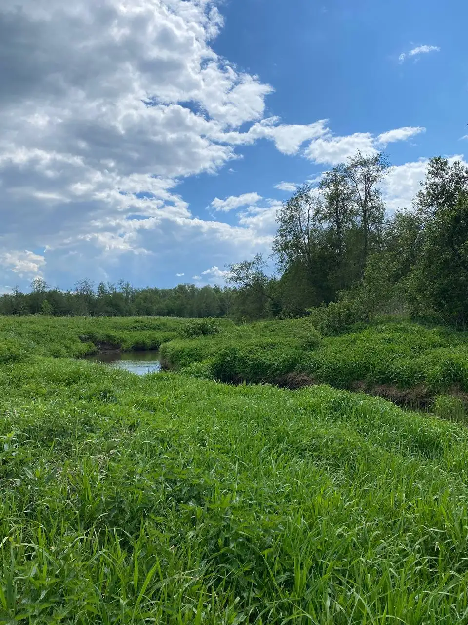 Участок 10 соток в Подмосковье - Земля (Недвижимость) в Шаховской район