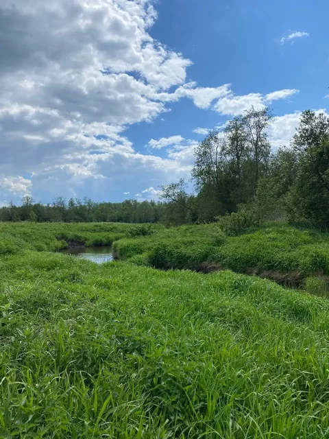Участок 10 соток в Подмосковье - Недвижимость в Шаховской район