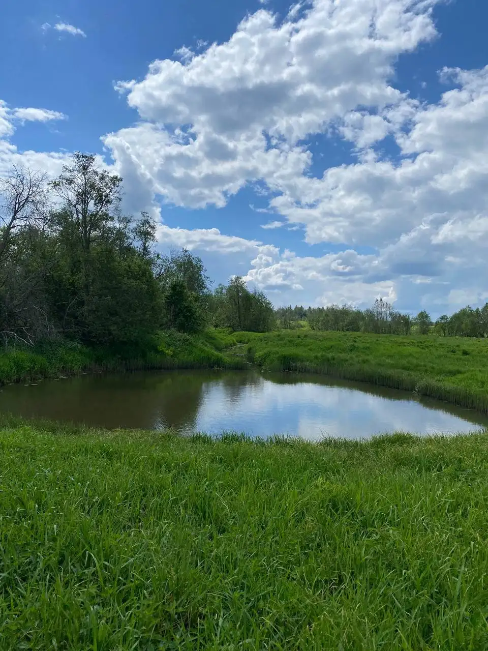 Участок 10 соток в Подмосковье - Земля (Недвижимость) в Шаховской район