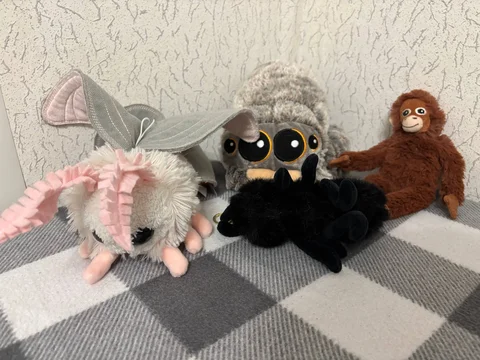 Отдам игрушки: моль, паук, обезьянка, муравей - Техника в Балашиха