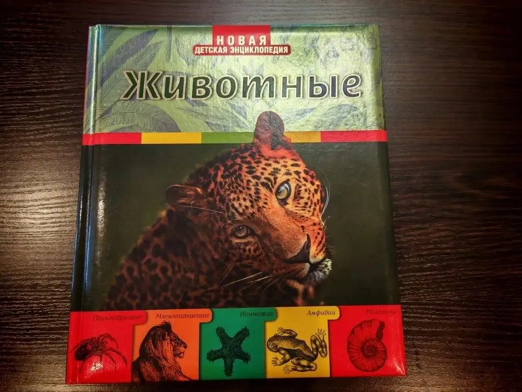 Шкафч-купе с распашными дверями, 3000 руб. - Мебель (Для дома и дачи) в Неизвестно
