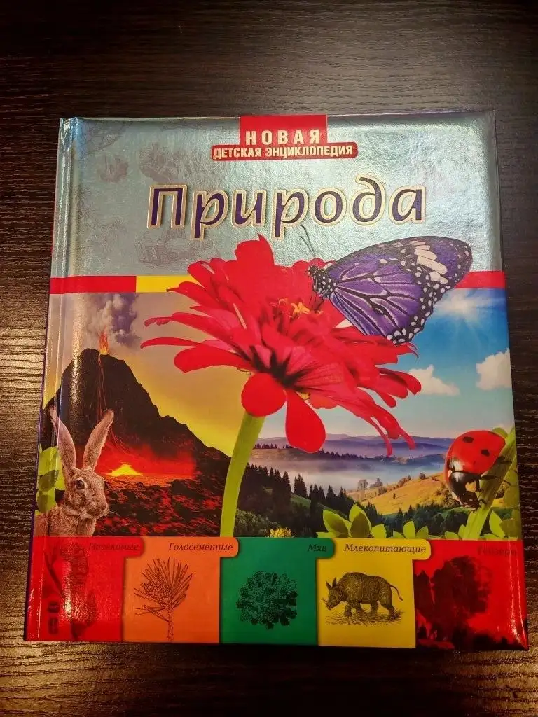 Шкафч-купе с распашными дверями, 3000 руб. - Мебель (Для дома и дачи) в Неизвестно