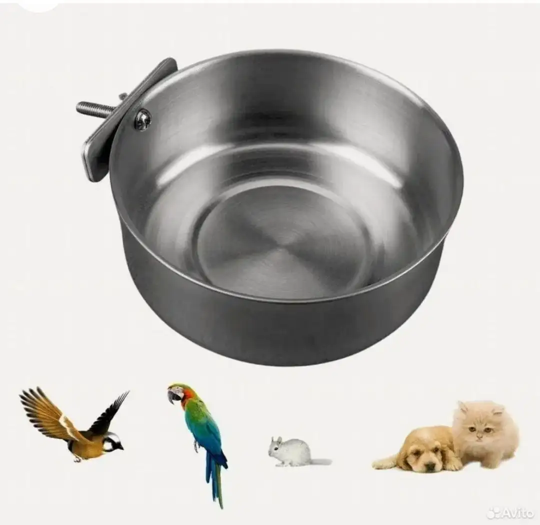 Миска из нержавеющей стали для домашних животных - Товары для животных (Животные) в Балашиха
