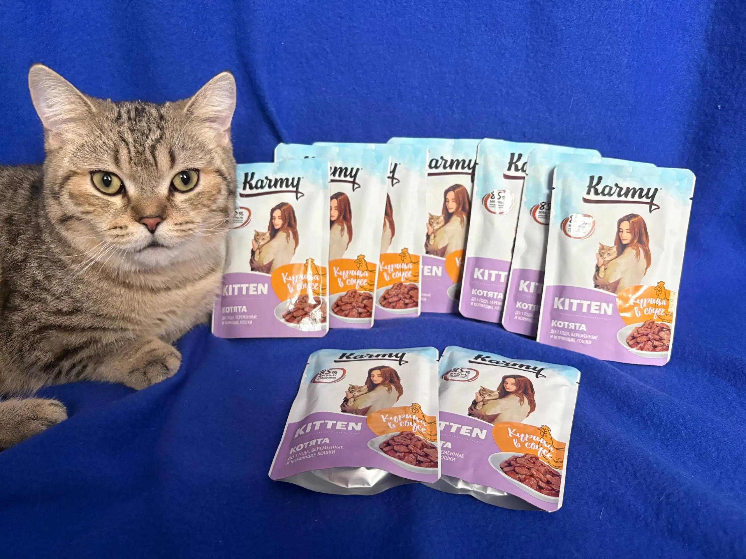Продам корм для котят Carmy - Корма и лакомства (Животные) в Балашиха