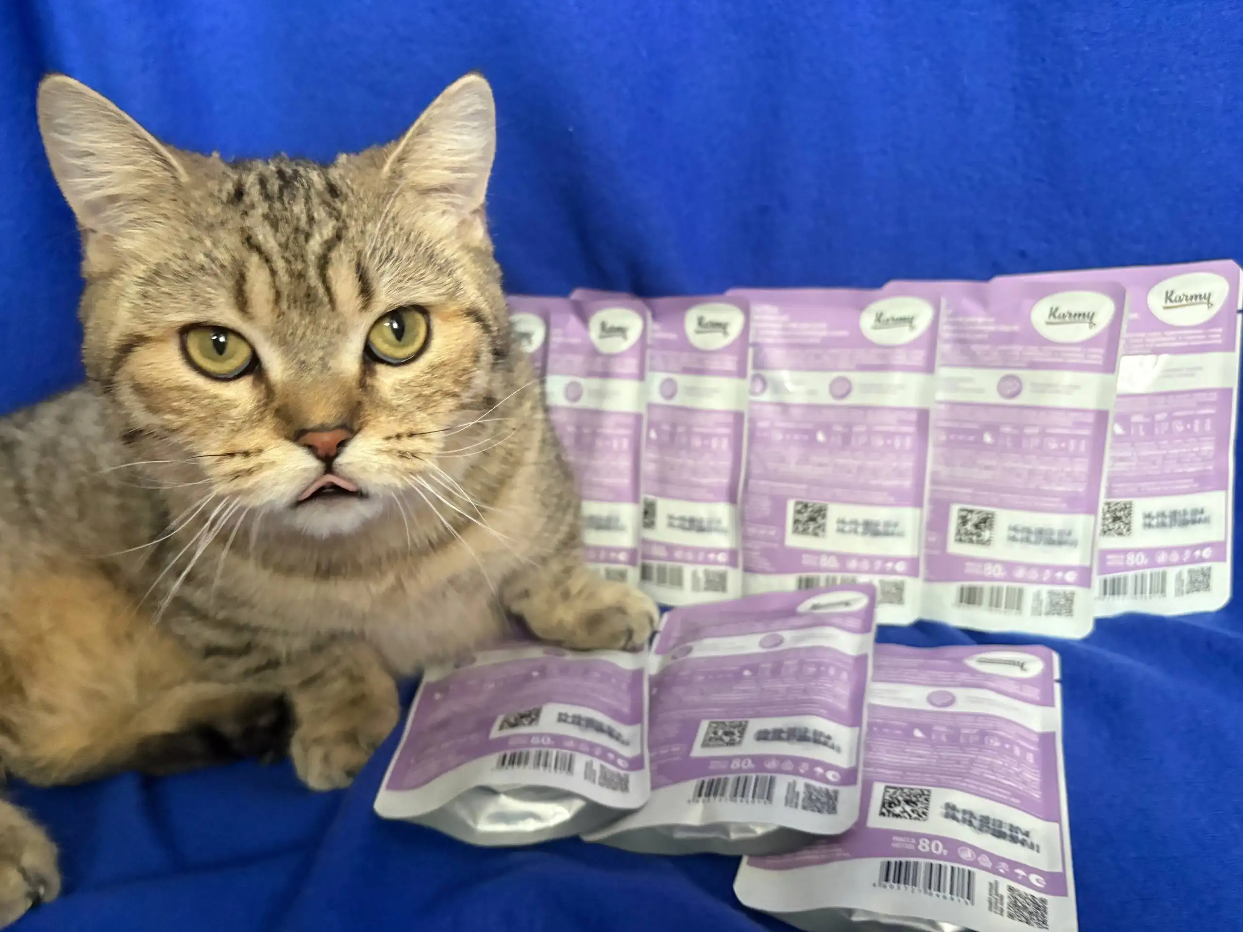Продам корм для котят Carmy - Корма и лакомства (Животные) в Балашиха
