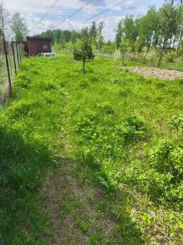 Продается земельный участок в СНТ Полтево 2 - Земельный участок (Недвижимость) в Балашиха